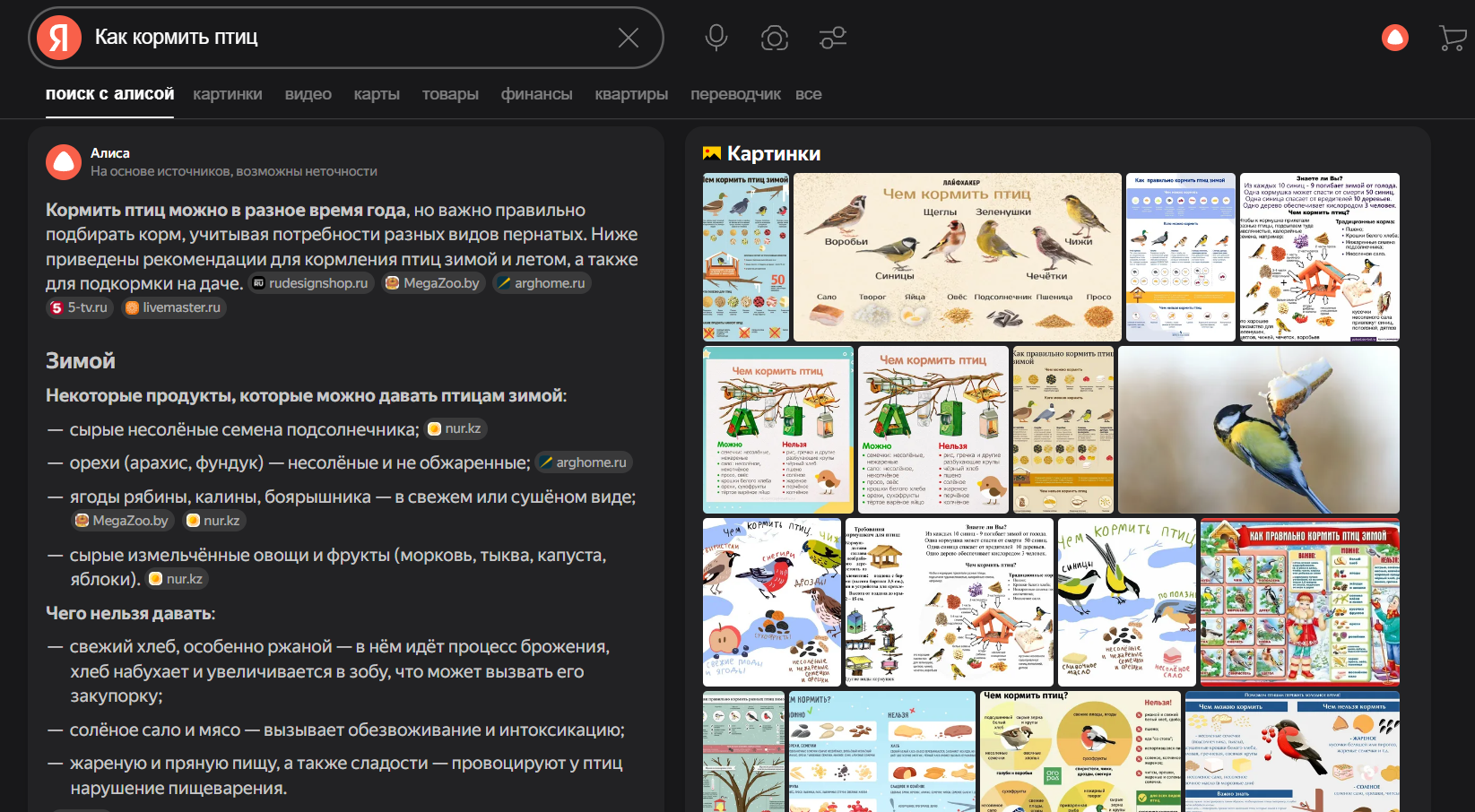 Нейроответ в Поиске с Алисой